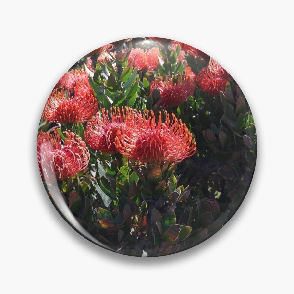 Aperçu de l'œuvre Beauté de Proteas. créée et vendue par Beatella.