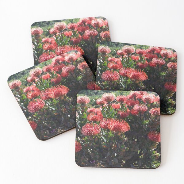 Item preview, Beauty of Proteas. designed and sold by Beatella.