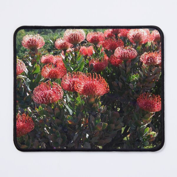 Item preview, Beauty of Proteas. designed and sold by Beatella.