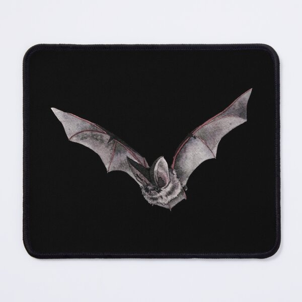 Item preview, Grey long-eared bat designed and sold by mooonhannah.