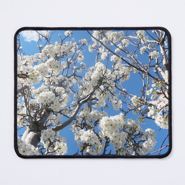 Item preview, Blue sky with white cherry blossoms designed and sold by honeyteestudios.