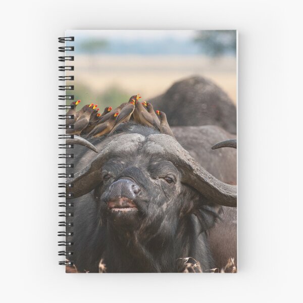 Item preview, African buffalo with maggot chopper designed and sold by Ingo Gerlach.