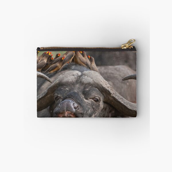 Item preview, African buffalo with maggot chopper designed and sold by Ingo Gerlach.