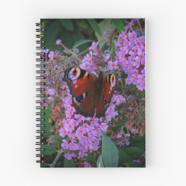Item preview, A pretty peacock butterfly on a purple blossom designed and sold by Ann Biddlecombe.