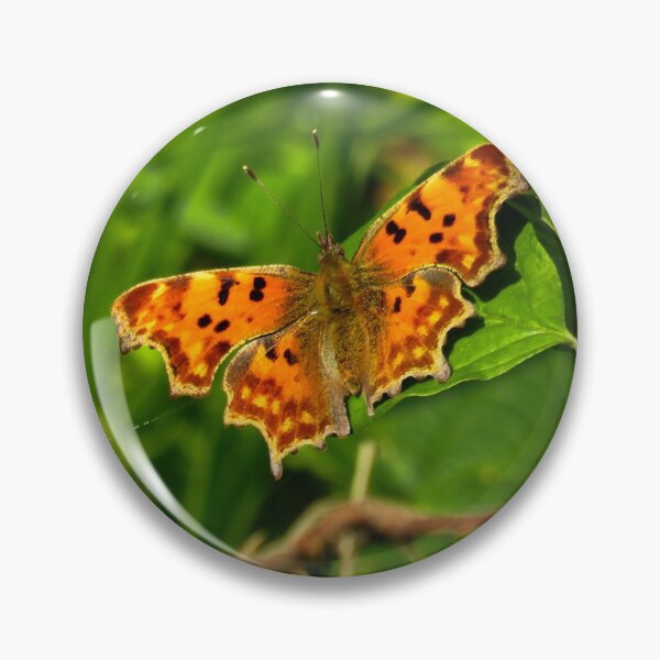 Item preview, Comma butterfly designed and sold by Ann Biddlecombe.