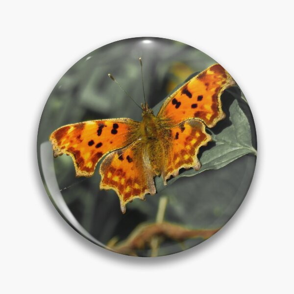 Item preview, Comma butterfly with green faded out designed and sold by Ann Biddlecombe.