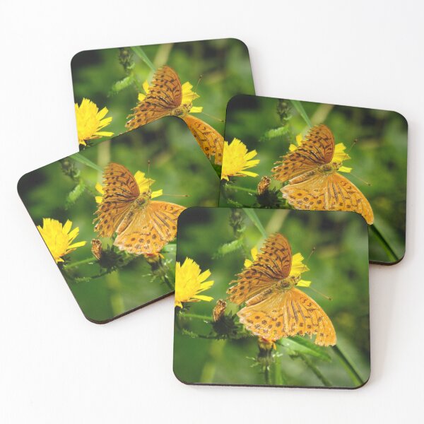 Artikelvorschau, Ein gewöhnlicher Fritillary-Orangen-Schmetterling entworfen und verkauft von Ann Biddlecombe.