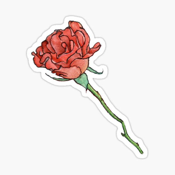 Coral Rose Watercolor Sticker