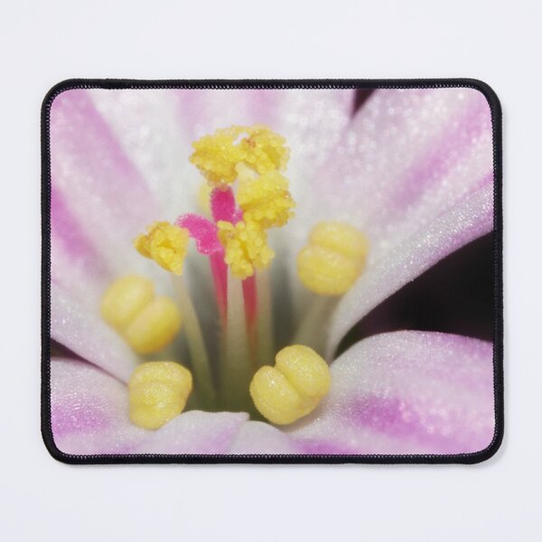 Item preview, 2mm designed and sold by SharonJ.