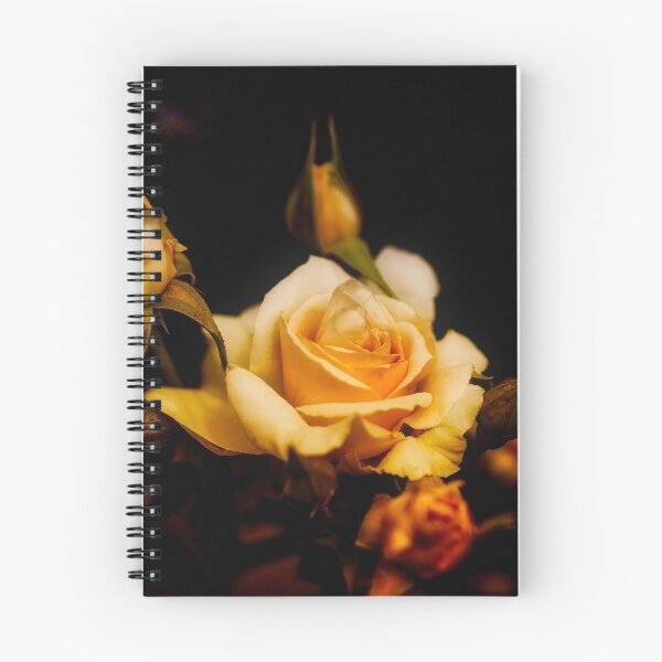 Item preview, Open rose designed and sold by Froggie.