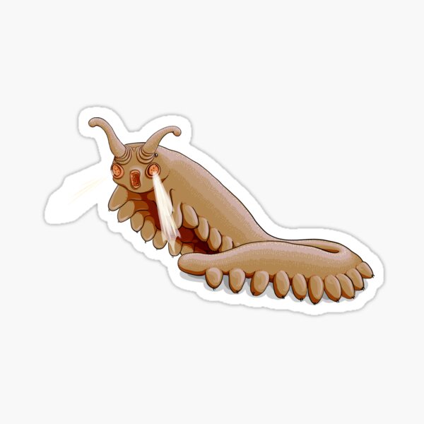 Brown Onychophora velvet worm Sticker