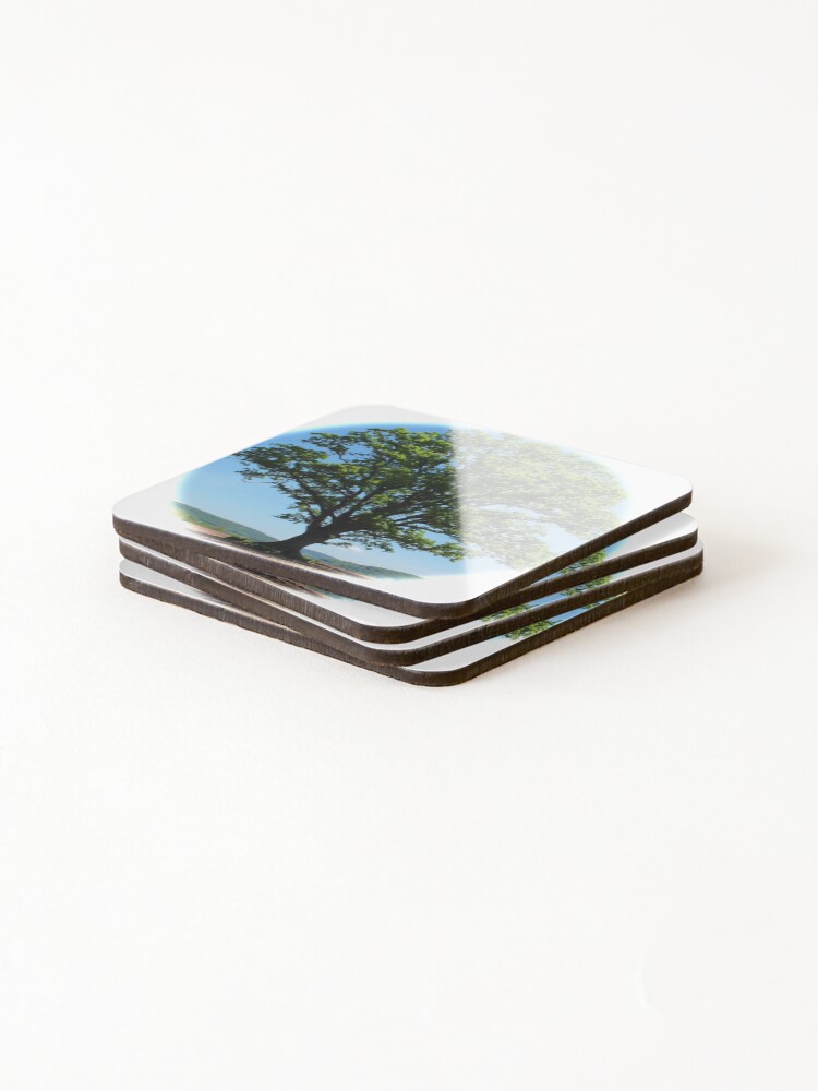 Thumbnail 4 of 5, Coasters (Set of 4), Irreplaceable Oak Tree designed and sold by scribblejac.