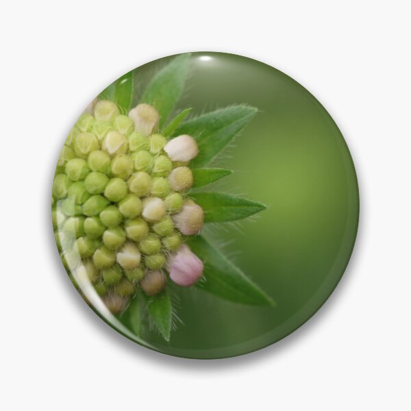 Item preview, Field Scabious  designed and sold by HappySnapping.