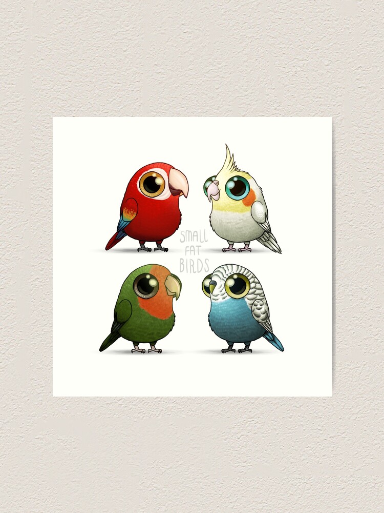 small parrots