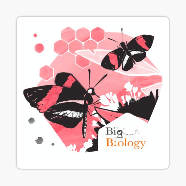 Item preview, Butterfly vision designed and sold by BigBiology.