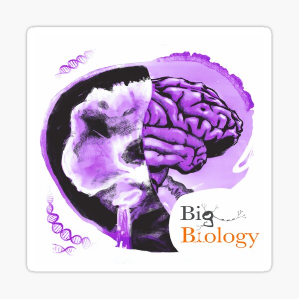 Item preview, Tattoo on the brain designed and sold by BigBiology.