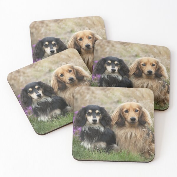 Item preview,  Miniature Long-haired Dachshund Dogs designed and sold by ScienceSource.