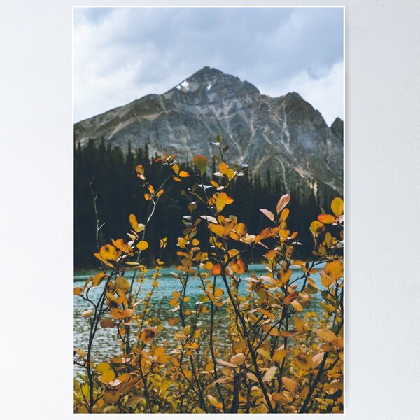 Item preview, let's get lost designed and sold by bellehibou.