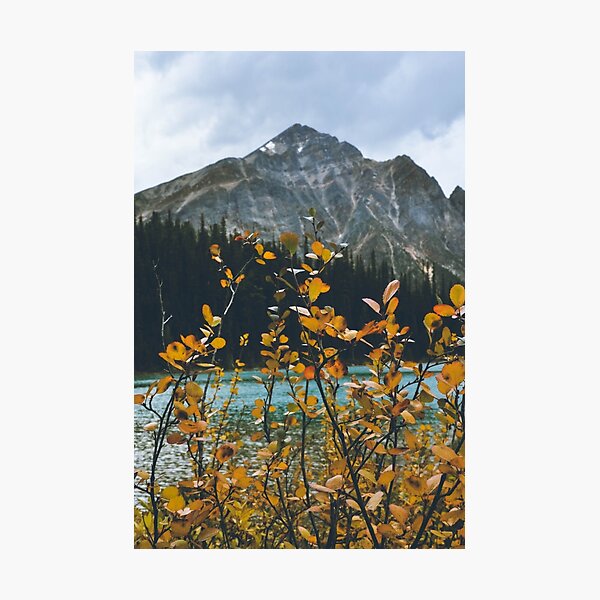 Item preview, let's get lost designed and sold by bellehibou.