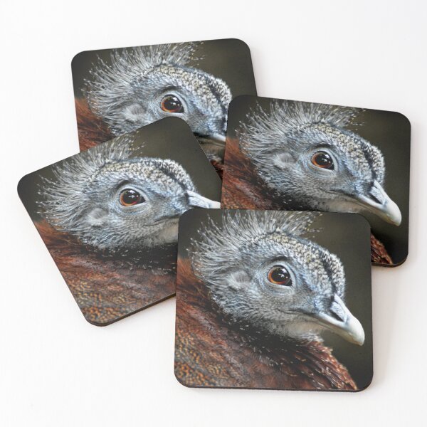 Item preview, Argus Pheasant designed and sold by Laurie Minor.