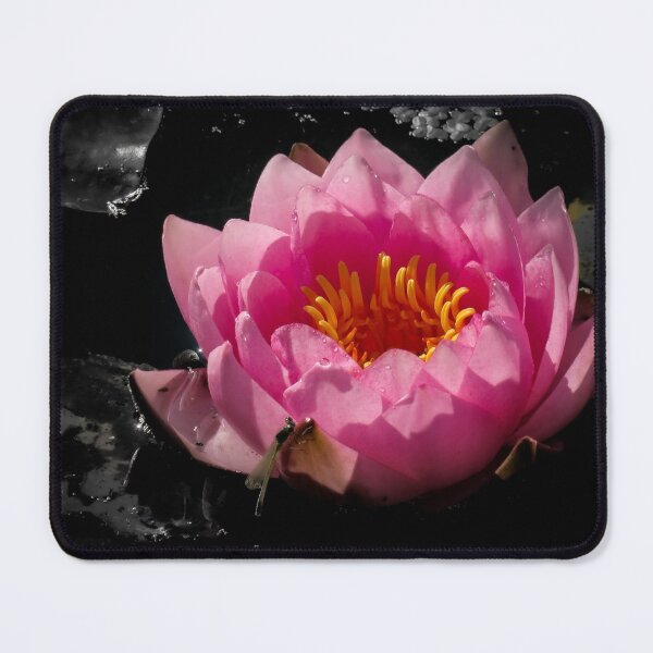Item preview, Water lilly with monochrome background designed and sold by Ann Biddlecombe.