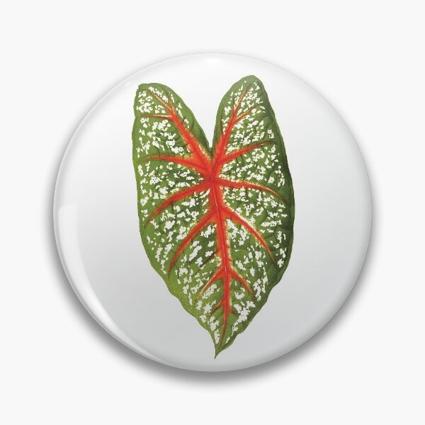 Item preview, Caladium designed and sold by Carocas20.