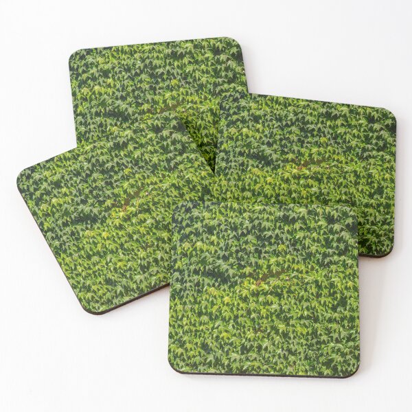 Item preview, Ivy designed and sold by Emitropy.