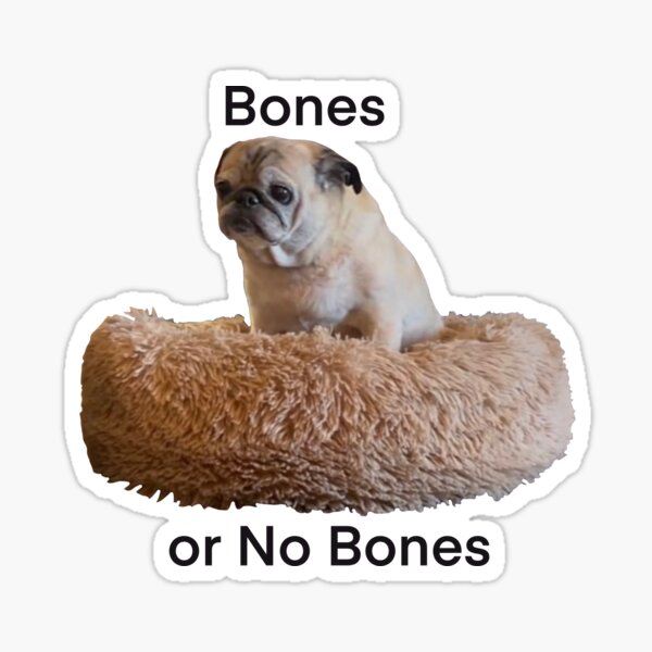 Bones or No Bones Bones or No Bones