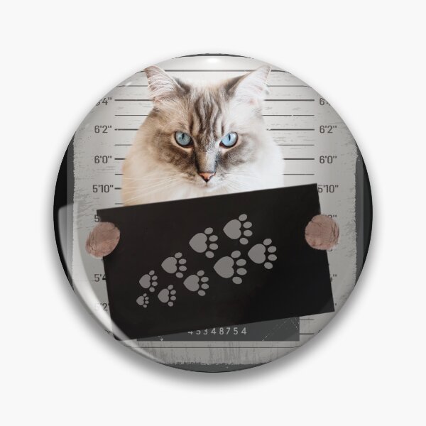 Item preview, Personal stalker i will follow you wherever you go, Ragdoll cat designed and sold by seifouBVB.