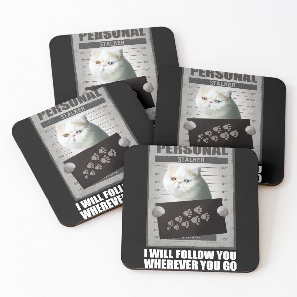Item preview, Personal stalker i will follow you wherever you go, Exotic cat designed and sold by seifouBVB.