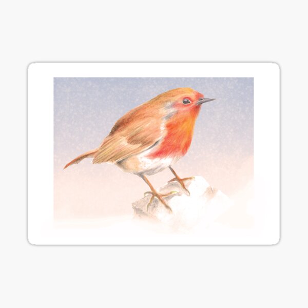 Watercolour Robin Print Sticker
