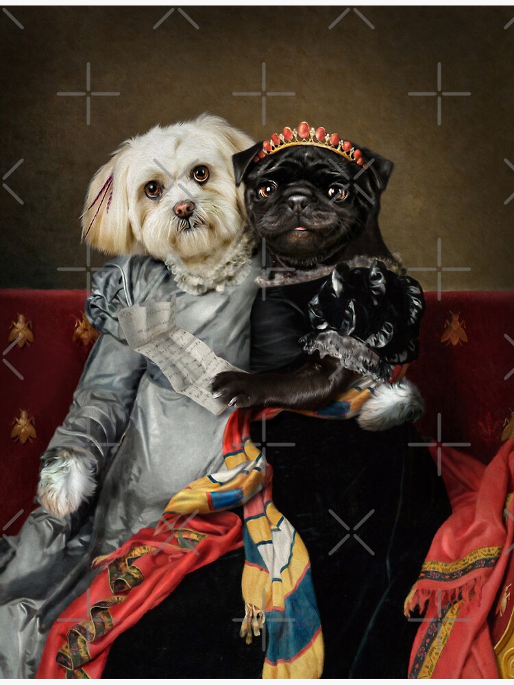 Dog Portrait - Peggy and Lucy by carpo17