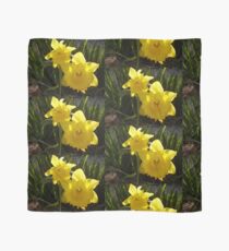 daffodil Scarf