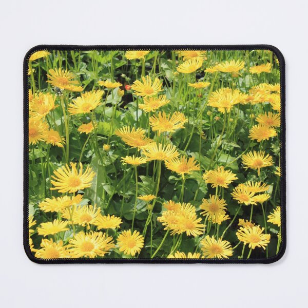 Item preview, The yellow flowers blooming on the summer meadow designed and sold by IraNiva.