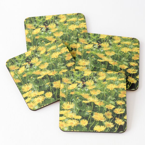 Item preview, The yellow flowers blooming  on the summer meadow designed and sold by IraNiva.