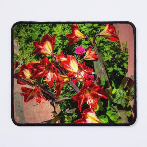 Item preview, Lilies in Corfu designed and sold by tomg.