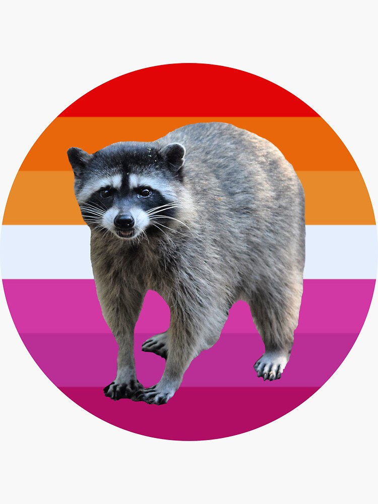 Raccoon Lesbian Pride Flag Sticker For Sale By Anniejo99 Redbubble