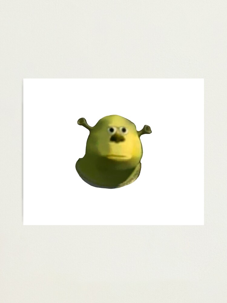 Shrek T-Pose  Photographic Print for Sale by KikimoraFasbn