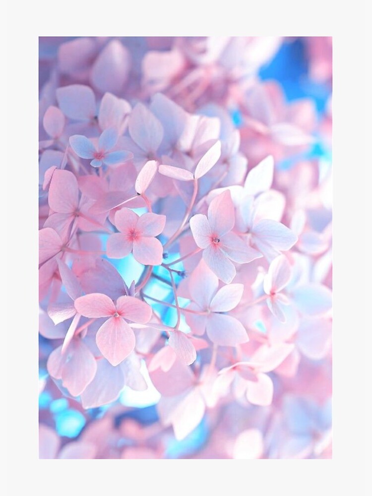 Premium Photo  Anime sakura blossoms pink sakura flowers on a tree in  pink tones