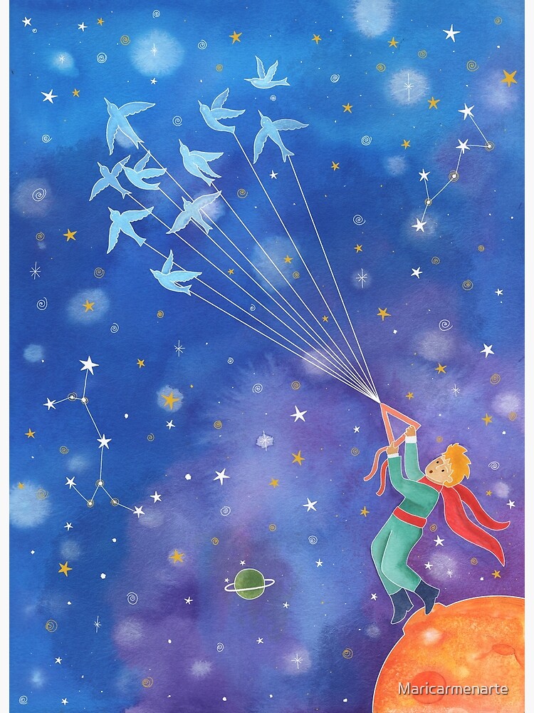 Disover The little prince and birds Canvas