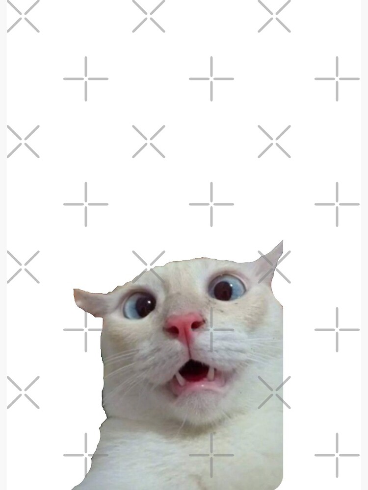 Meme cat funny face | Art Board Print