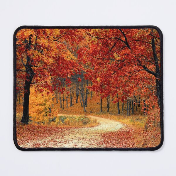 Item preview, Autumn Forest Road The Trees Trail Path designed and sold by MonArtisteSam.