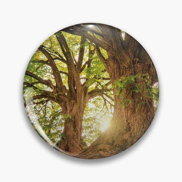 Item preview, Wild nature trees nature woods sunlight designed and sold by MonArtisteSam.
