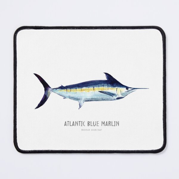 Item preview, Marlin bleu de l'Atlantique (esquisse à l'aquarelle), poisson, poisson de mer, pélagique, poisson à bec designed and sold by Melissa  MacMichael.