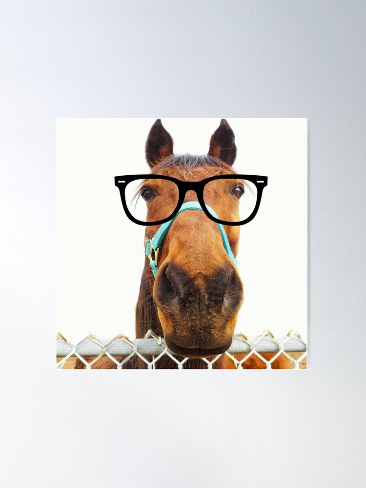 Horse hotsell with glasses