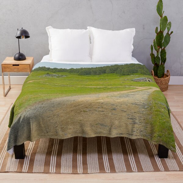 Item preview, Path through an Alpine mountain landscape designed and sold by xophotography.