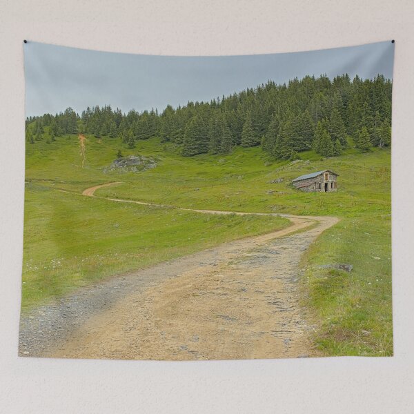 Item preview, Path through an Alpine mountain landscape designed and sold by xophotography.