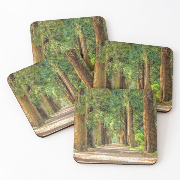 Item preview, Tree lined avenue on the forest trail path designed and sold by MonArtisteSam.