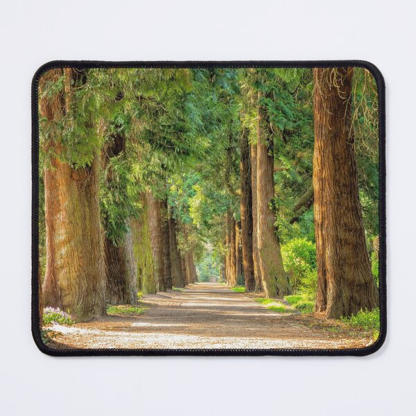 Item preview, Tree lined avenue on the forest trail path designed and sold by MonArtisteSam.