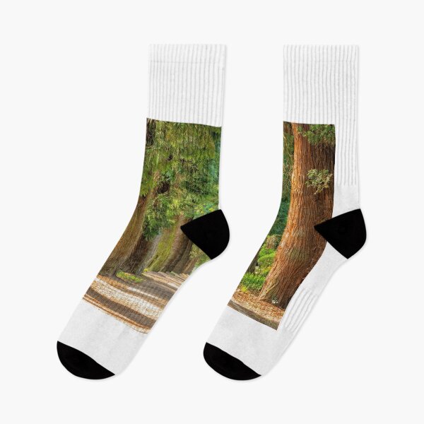 Item preview, Avenida arbolada en el sendero del bosque designed and sold by MonArtisteSam.